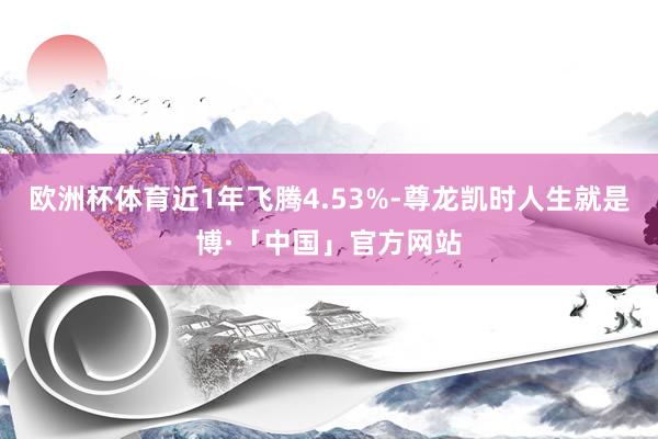 欧洲杯体育近1年飞腾4.53%-尊龙凯时人生就是博·「中国」官方网站