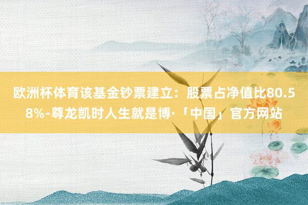 欧洲杯体育该基金钞票建立：股票占净值比80.58%-尊龙凯时人生就是博·「中国」官方网站