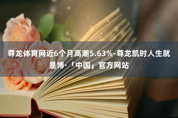 尊龙体育网近6个月高潮5.63%-尊龙凯时人生就是博·「中国」官方网站