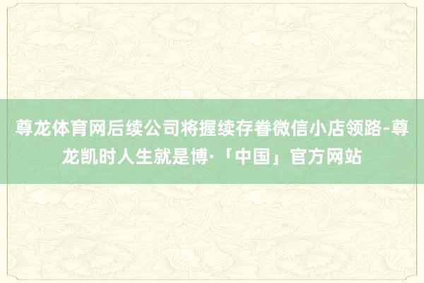 尊龙体育网后续公司将握续存眷微信小店领路-尊龙凯时人生就是博·「中国」官方网站