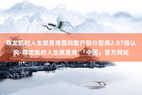 尊龙凯时人生就是博面向散户部分取得2.87倍认购-尊龙凯时人生就是博·「中国」官方网站