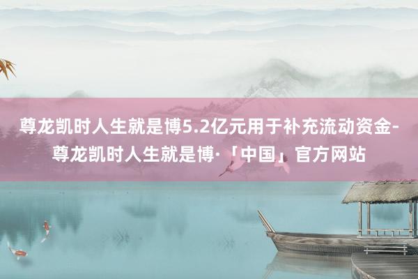 尊龙凯时人生就是博5.2亿元用于补充流动资金-尊龙凯时人生就是博·「中国」官方网站