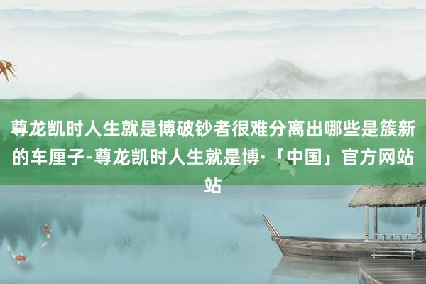 尊龙凯时人生就是博破钞者很难分离出哪些是簇新的车厘子-尊龙凯时人生就是博·「中国」官方网站