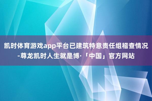 凯时体育游戏app平台已建筑特意责任组稽查情况-尊龙凯时人生就是博·「中国」官方网站