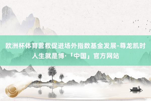 欧洲杯体育营救促进场外指数基金发展-尊龙凯时人生就是博·「中国」官方网站