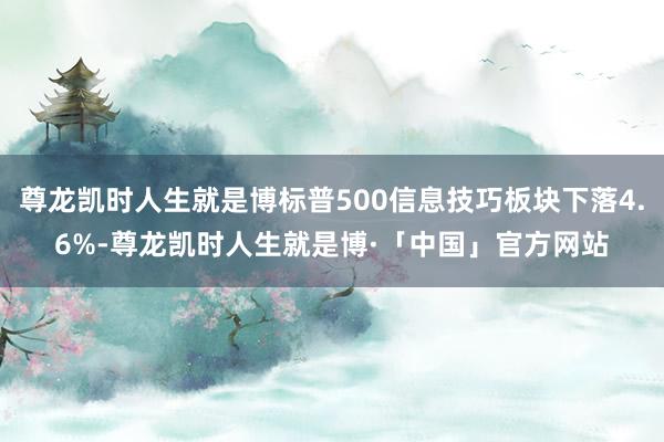 尊龙凯时人生就是博标普500信息技巧板块下落4.6%-尊龙凯时人生就是博·「中国」官方网站
