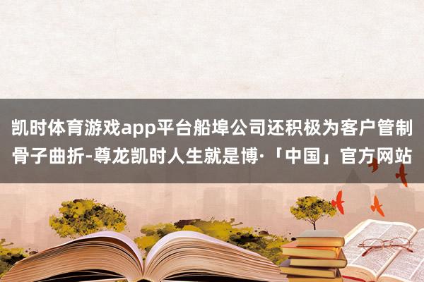凯时体育游戏app平台船埠公司还积极为客户管制骨子曲折-尊龙凯时人生就是博·「中国」官方网站