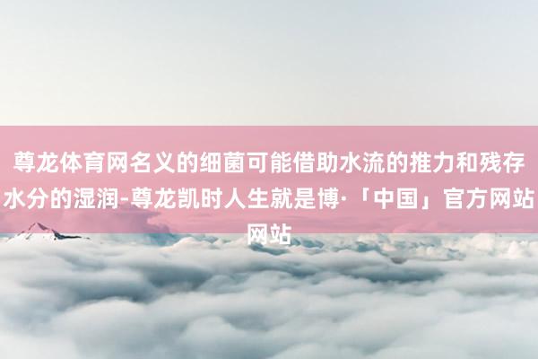 尊龙体育网名义的细菌可能借助水流的推力和残存水分的湿润-尊龙凯时人生就是博·「中国」官方网站