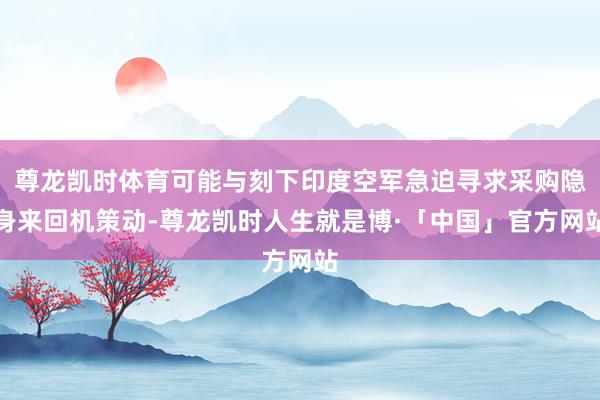尊龙凯时体育可能与刻下印度空军急迫寻求采购隐身来回机策动-尊龙凯时人生就是博·「中国」官方网站