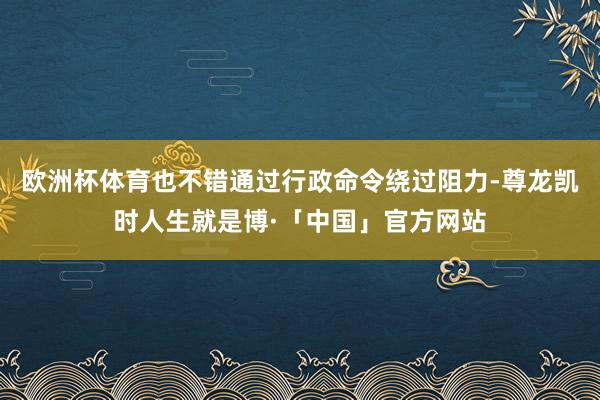欧洲杯体育也不错通过行政命令绕过阻力-尊龙凯时人生就是博·「中国」官方网站