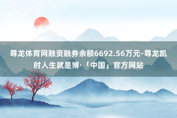 尊龙体育网融资融券余额6692.56万元-尊龙凯时人生就是博·「中国」官方网站