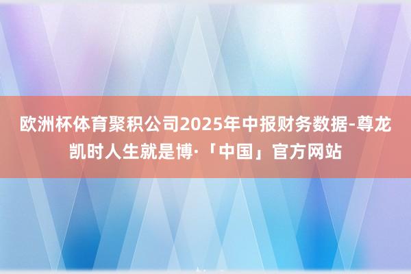 欧洲杯体育聚积公司2025年中报财务数据-尊龙凯时人生就是博·「中国」官方网站