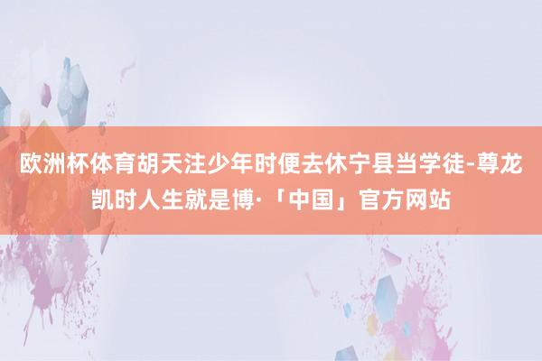 欧洲杯体育胡天注少年时便去休宁县当学徒-尊龙凯时人生就是博·「中国」官方网站