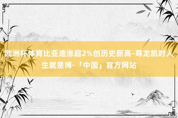 欧洲杯体育比亚迪涨超2%创历史新高-尊龙凯时人生就是博·「中国」官方网站