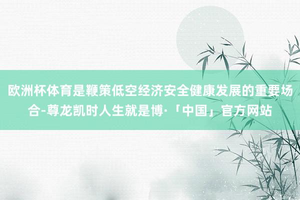 欧洲杯体育是鞭策低空经济安全健康发展的重要场合-尊龙凯时人生就是博·「中国」官方网站