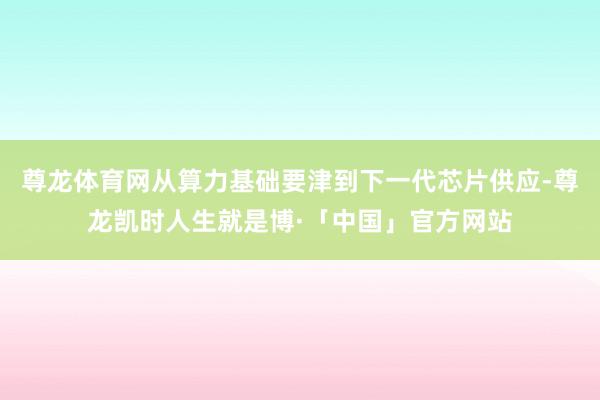 尊龙体育网从算力基础要津到下一代芯片供应-尊龙凯时人生就是博·「中国」官方网站