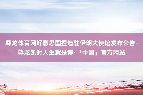 尊龙体育网好意思国捏造驻伊朗大使馆发布公告-尊龙凯时人生就是博·「中国」官方网站