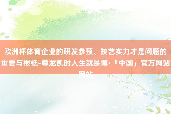 欧洲杯体育企业的研发参预、技艺实力才是问题的重要与根柢-尊龙凯时人生就是博·「中国」官方网站