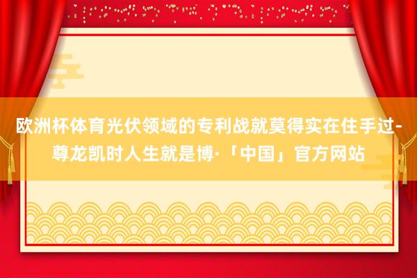 欧洲杯体育光伏领域的专利战就莫得实在住手过-尊龙凯时人生就是博·「中国」官方网站