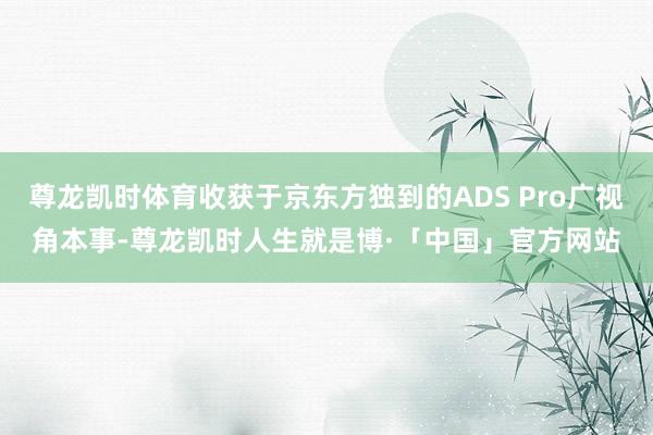 尊龙凯时体育收获于京东方独到的ADS Pro广视角本事-尊龙凯时人生就是博·「中国」官方网站