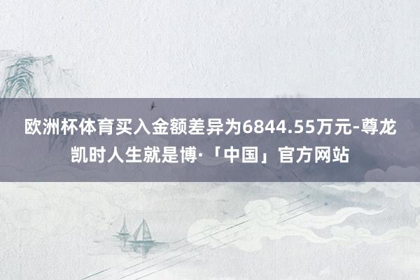欧洲杯体育买入金额差异为6844.55万元-尊龙凯时人生就是博·「中国」官方网站