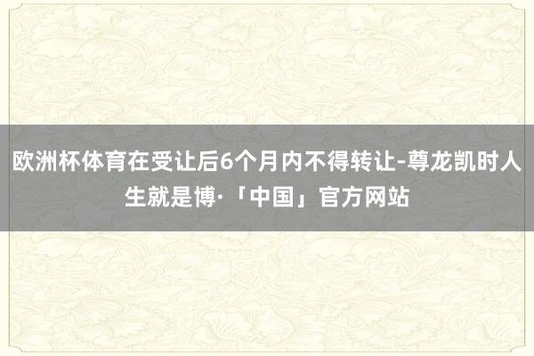 欧洲杯体育在受让后6个月内不得转让-尊龙凯时人生就是博·「中国」官方网站