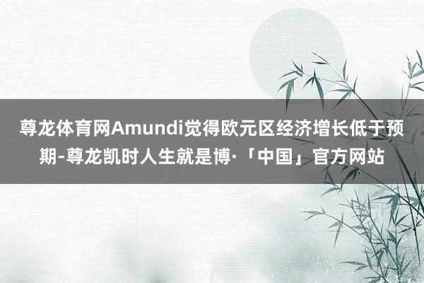 尊龙体育网Amundi觉得欧元区经济增长低于预期-尊龙凯时人生就是博·「中国」官方网站