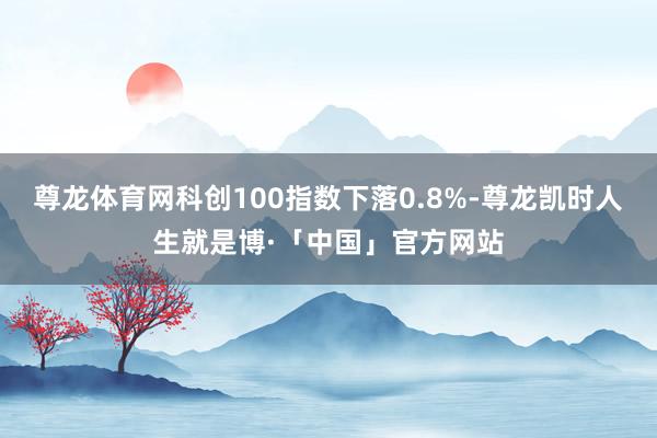 尊龙体育网科创100指数下落0.8%-尊龙凯时人生就是博·「中国」官方网站