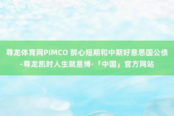 尊龙体育网PIMCO 醉心短期和中期好意思国公债-尊龙凯时人生就是博·「中国」官方网站
