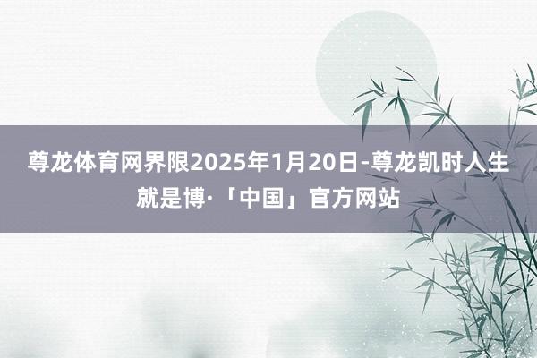尊龙体育网界限2025年1月20日-尊龙凯时人生就是博·「中国」官方网站