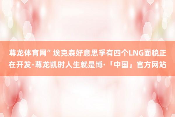 尊龙体育网”　　埃克森好意思孚有四个LNG面貌正在开发-尊龙凯时人生就是博·「中国」官方网站