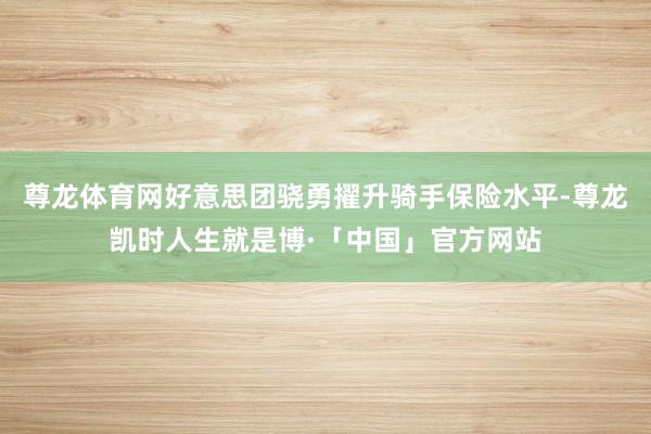 尊龙体育网好意思团骁勇擢升骑手保险水平-尊龙凯时人生就是博·「中国」官方网站