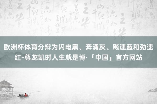 欧洲杯体育分辩为闪电黑、奔涌灰、飚速蓝和劲速红-尊龙凯时人生就是博·「中国」官方网站