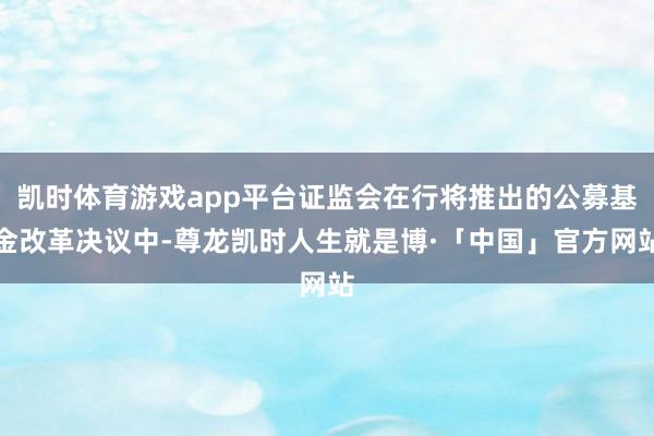 凯时体育游戏app平台证监会在行将推出的公募基金改革决议中-尊龙凯时人生就是博·「中国」官方网站