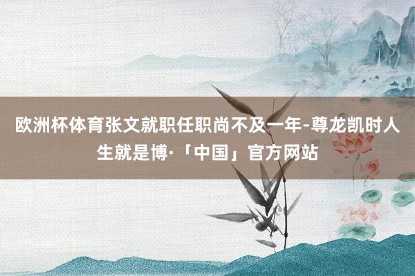 欧洲杯体育张文就职任职尚不及一年-尊龙凯时人生就是博·「中国」官方网站