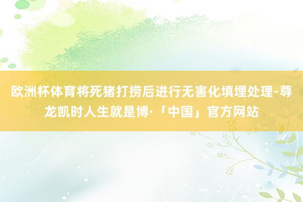 欧洲杯体育将死猪打捞后进行无害化填埋处理-尊龙凯时人生就是博·「中国」官方网站