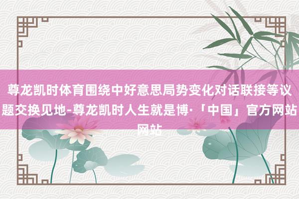 尊龙凯时体育围绕中好意思局势变化对话联接等议题交换见地-尊龙凯时人生就是博·「中国」官方网站