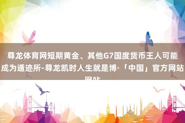 尊龙体育网短期黄金、其他G7国度货币王人可能成为遁迹所-尊龙凯时人生就是博·「中国」官方网站