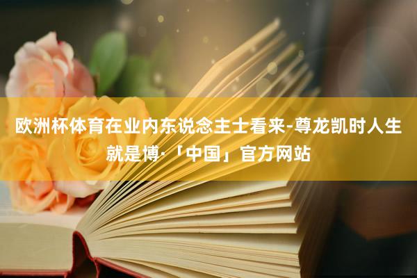 欧洲杯体育在业内东说念主士看来-尊龙凯时人生就是博·「中国」官方网站