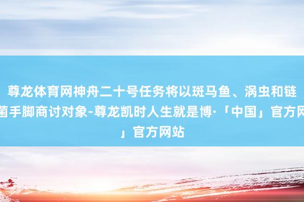 尊龙体育网神舟二十号任务将以斑马鱼、涡虫和链霉菌手脚商讨对象-尊龙凯时人生就是博·「中国」官方网站