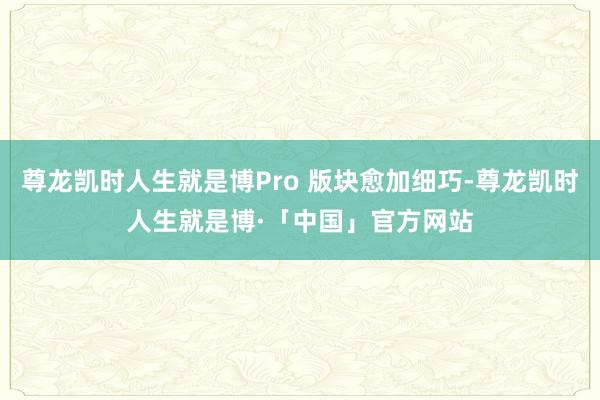 尊龙凯时人生就是博Pro 版块愈加细巧-尊龙凯时人生就是博·「中国」官方网站